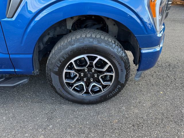 Used 2023 Ford F150 XLT w/ Equipment Group 302A High image 30