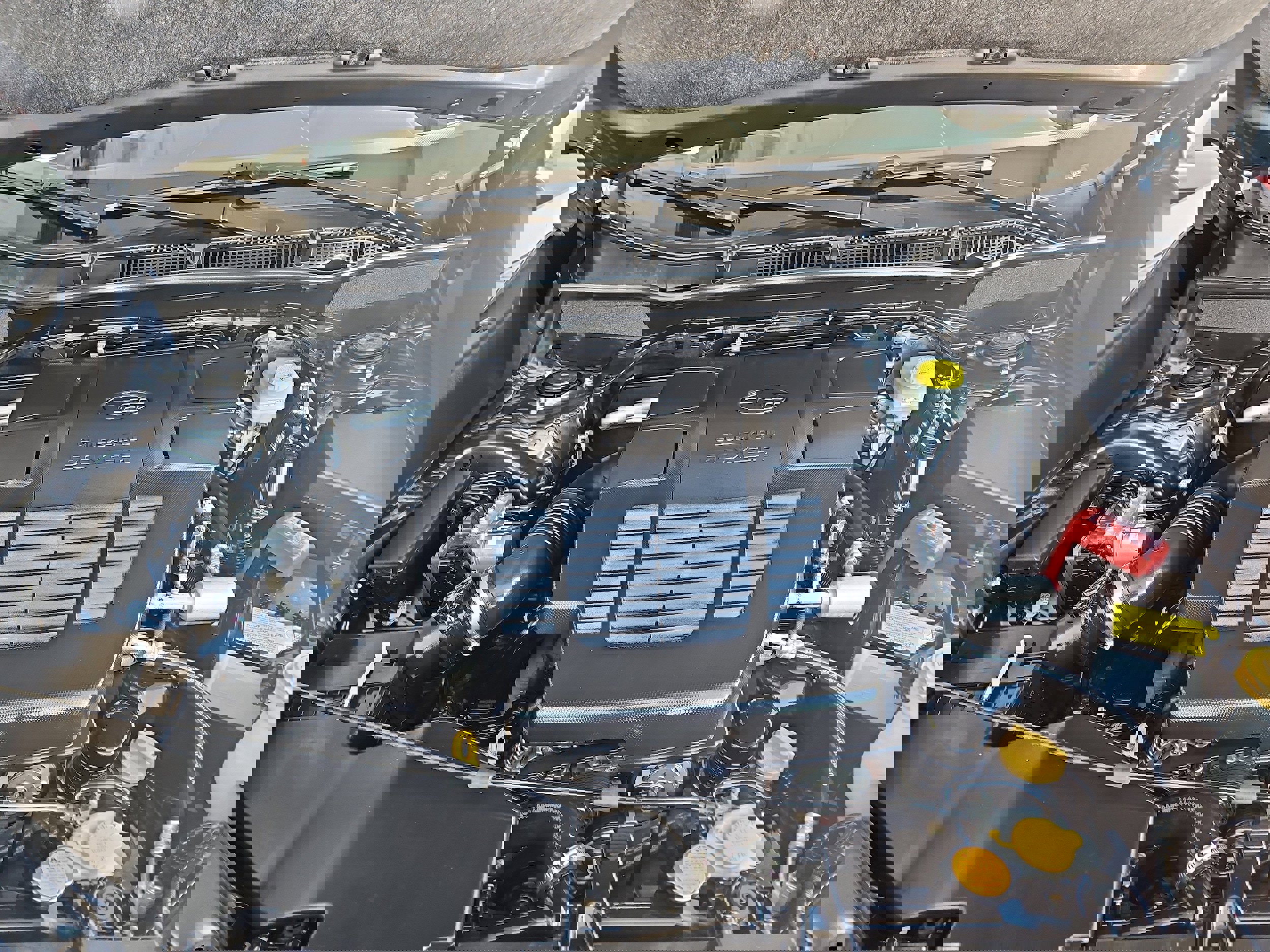 Certified 2024 Subaru Forester Wilderness AWD/4WD image 28