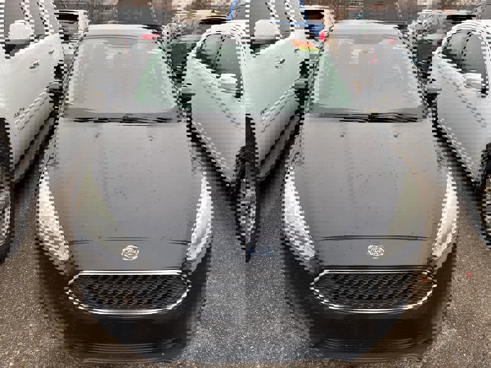 Used 2015 Ford Focus SE image 22