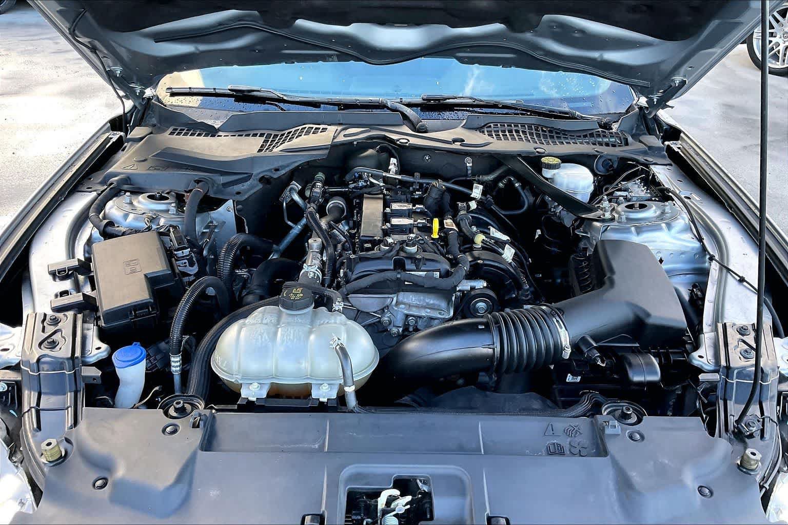 Certified 2023 Ford Mustang Convertible w/ Mustang Nite Pony Package RWD image 9