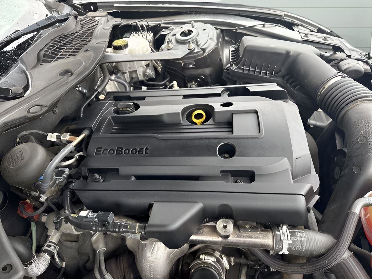 Used 2019 Ford Mustang Convertible image 13