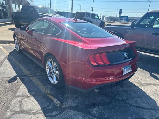 Used 2021 Ford Mustang Premium w/ Equipment Group 201A RWD image 3