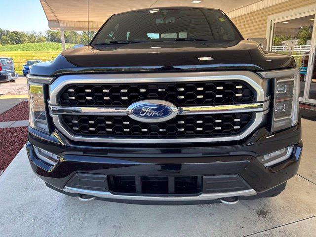 Used 2021 Ford F150 Platinum AWD/4WD image 11
