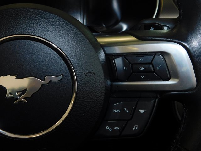 Used 2019 Ford Mustang GT Premium w/ Equipment Group 401A image 32