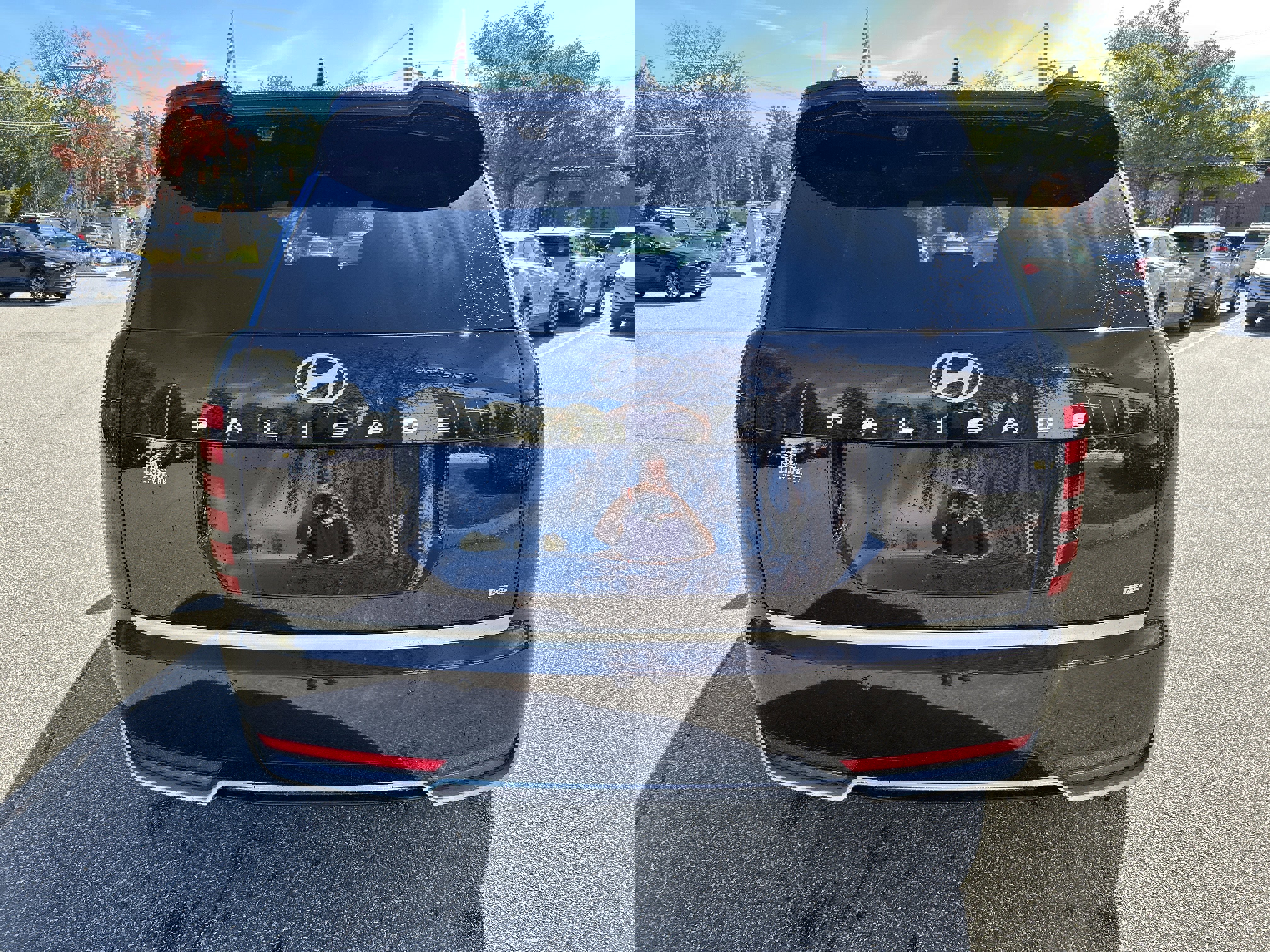 New 2026 Hyundai Palisade Calligraphy image 6