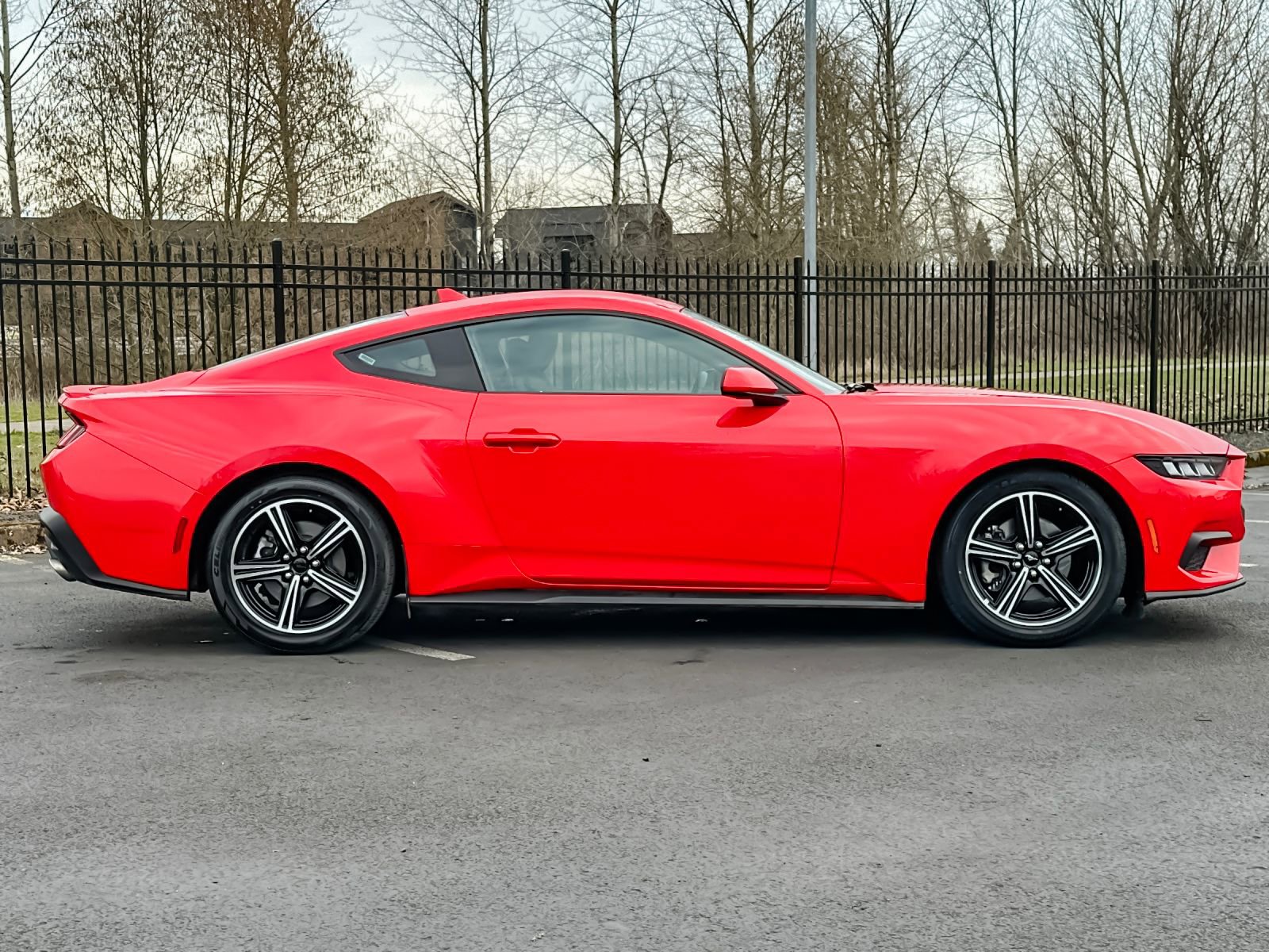 Used 2024 Ford Mustang Premium image 2