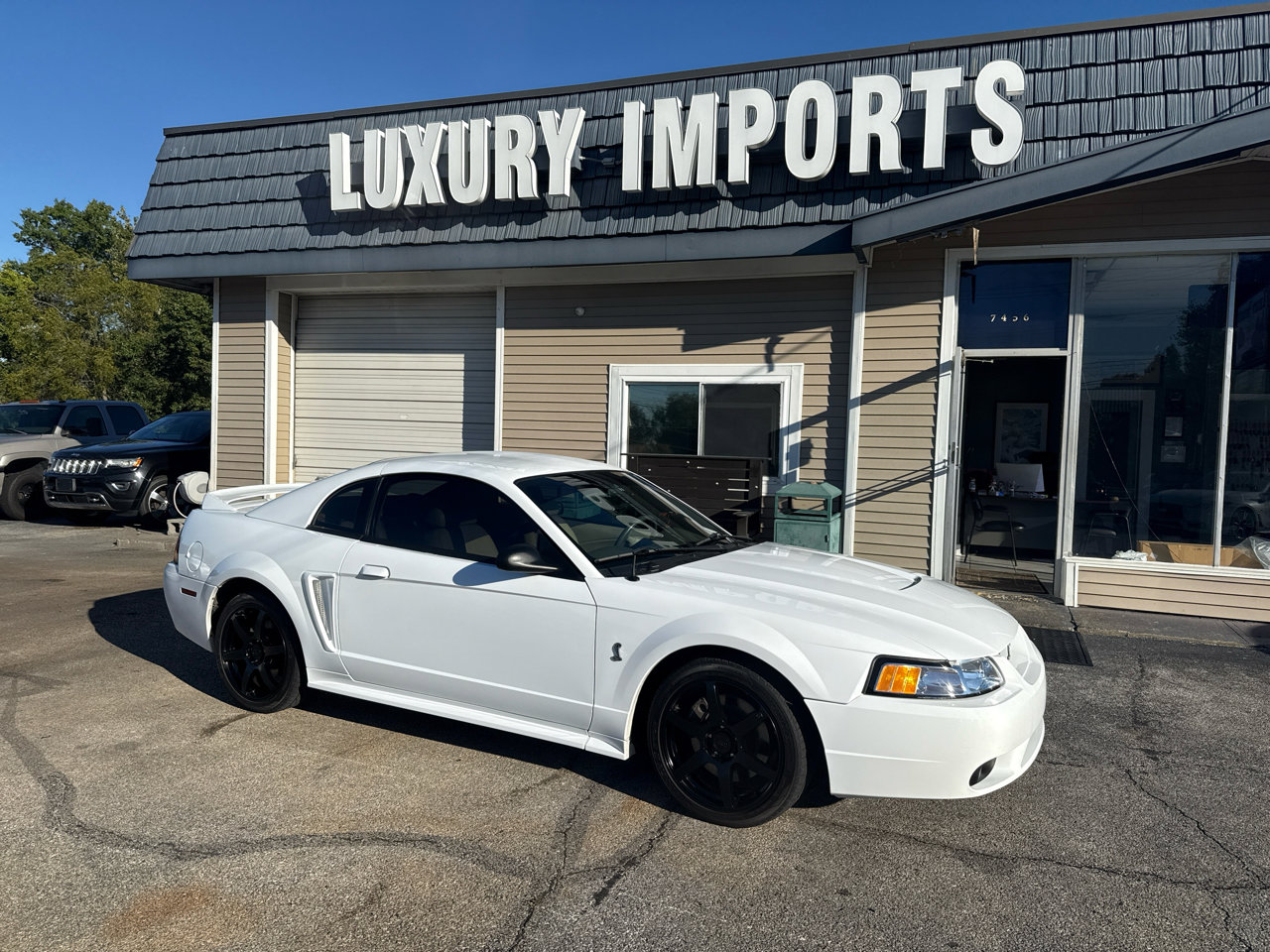 Used 1999 Ford Mustang Cobra image 2