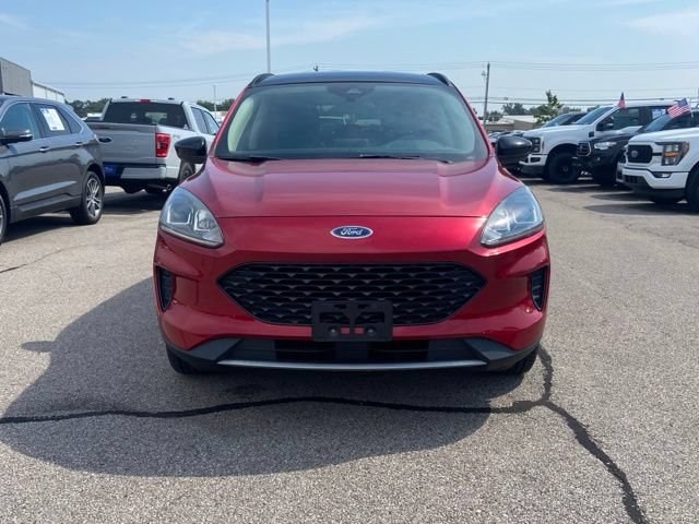 Used 2020 Ford Escape SE Sport AWD/4WD image 2