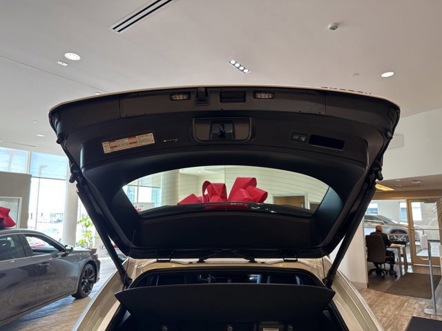 New 2025 Lexus UX 300h AWD image 10