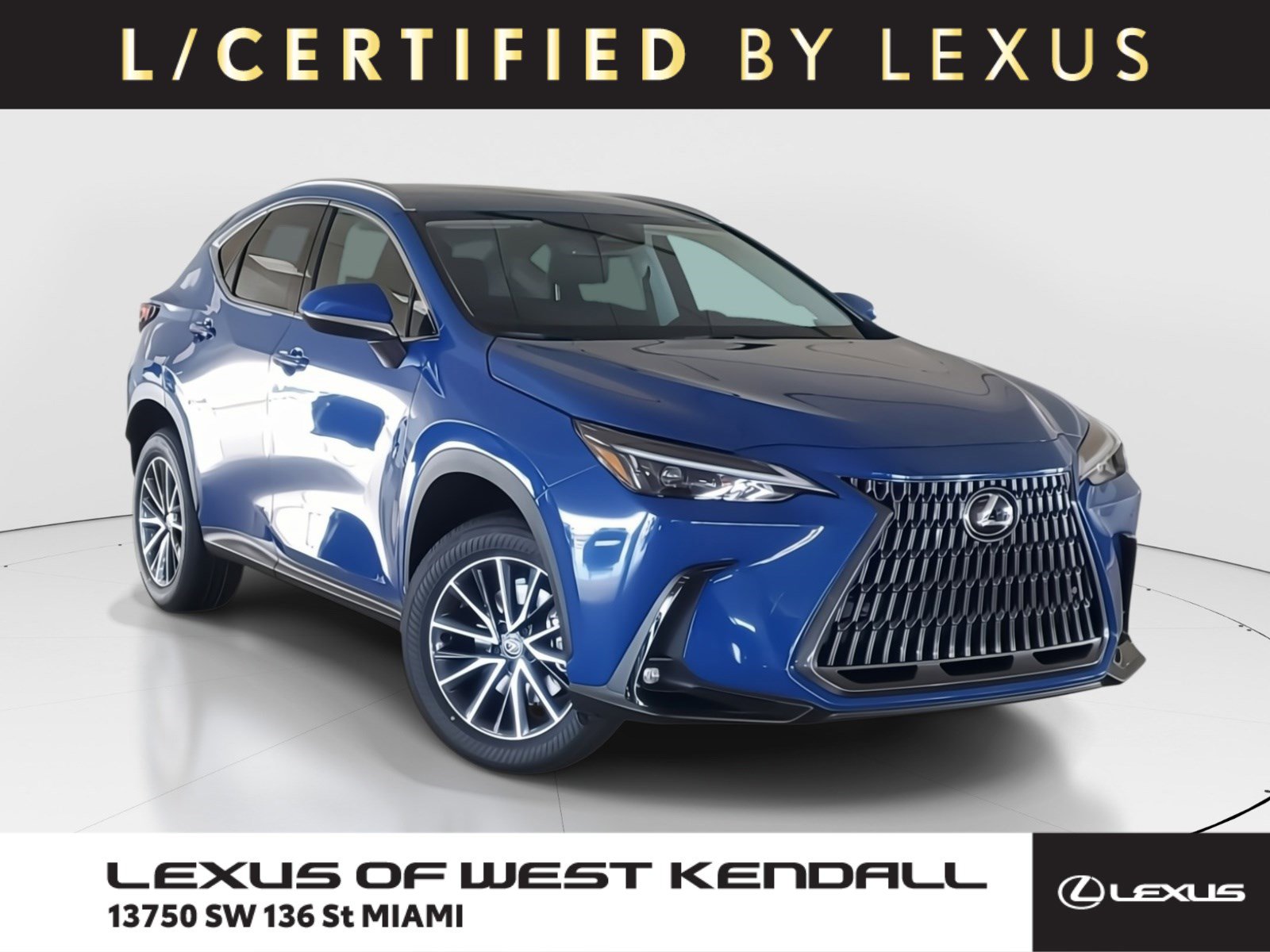Used 2025 Lexus NX 250 FWD