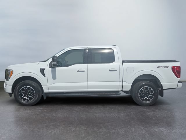 Used 2023 Ford F150 XLT w/ Equipment Group 302A High AWD/4WD image 2