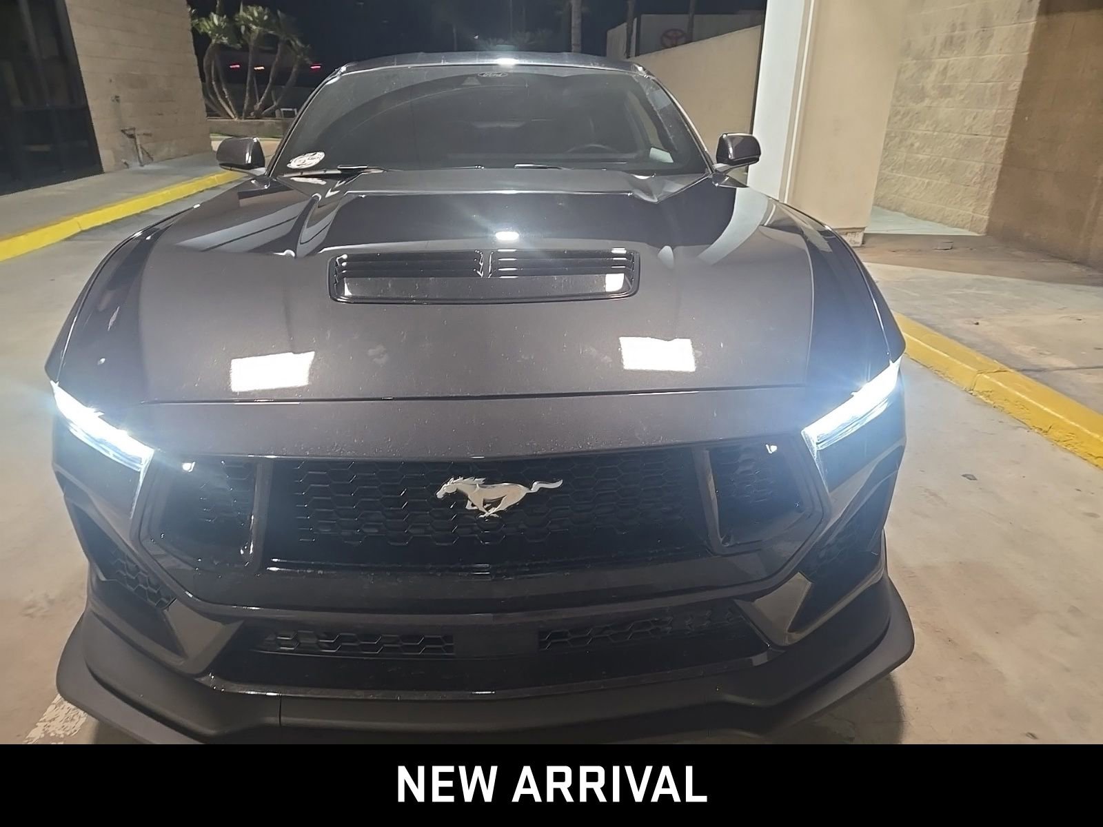 Used 2024 Ford Mustang GT Premium image 3