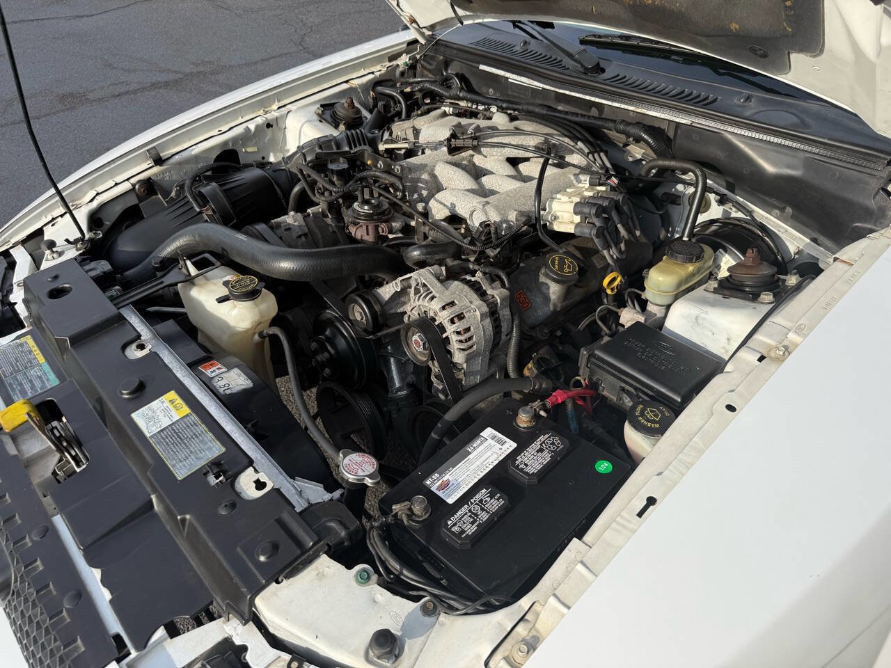 Used 2004 Ford Mustang Deluxe Convertible image 61