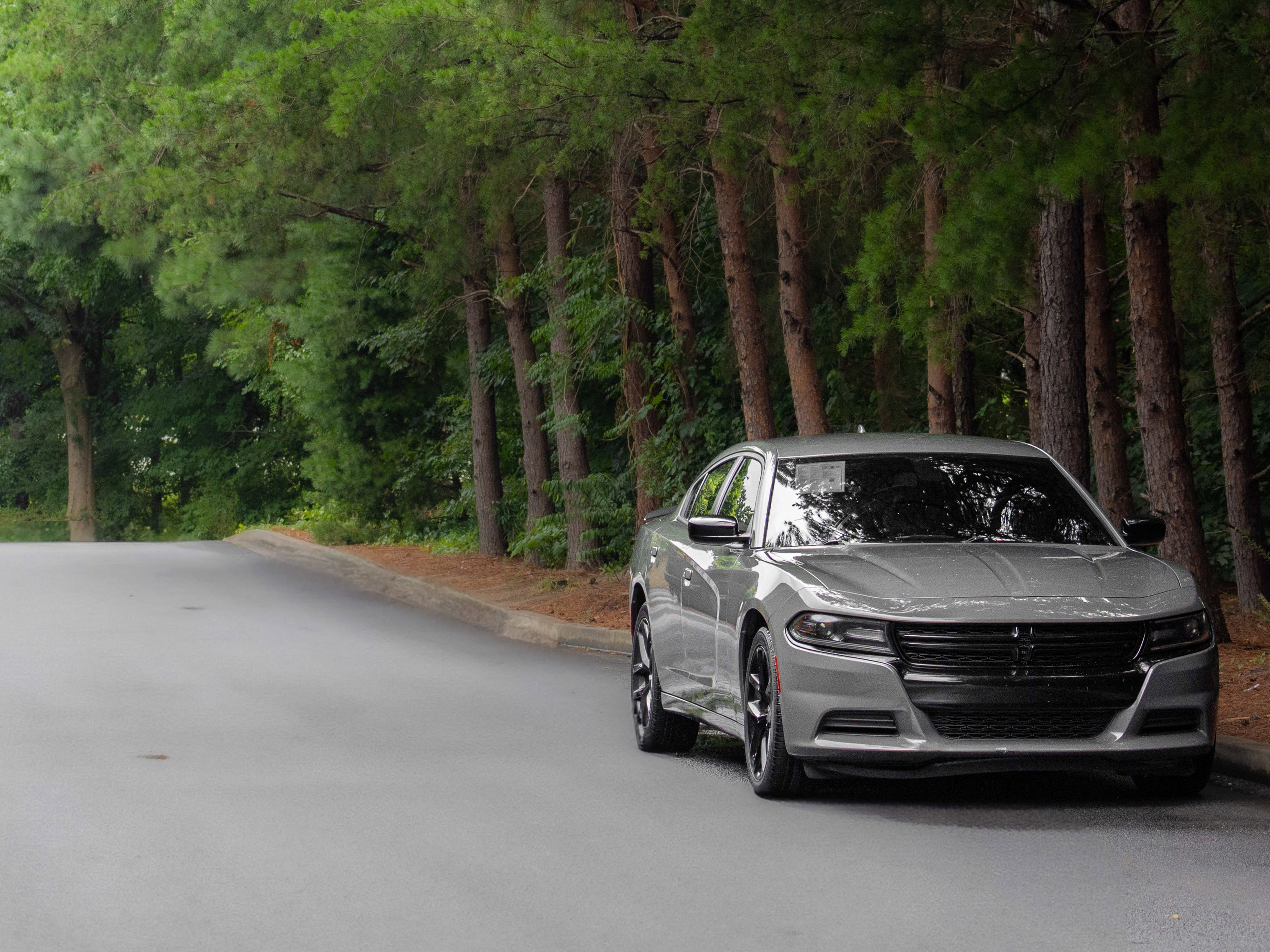 Used 2019 Dodge Charger SXT image 39