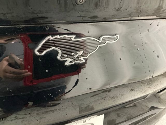 Used 2023 Ford Mustang Mach-E Premium image 5
