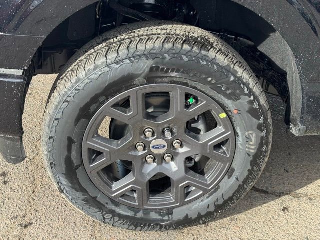 New 2026 Ford F150 STX w/ Equipment Group 200A image 7