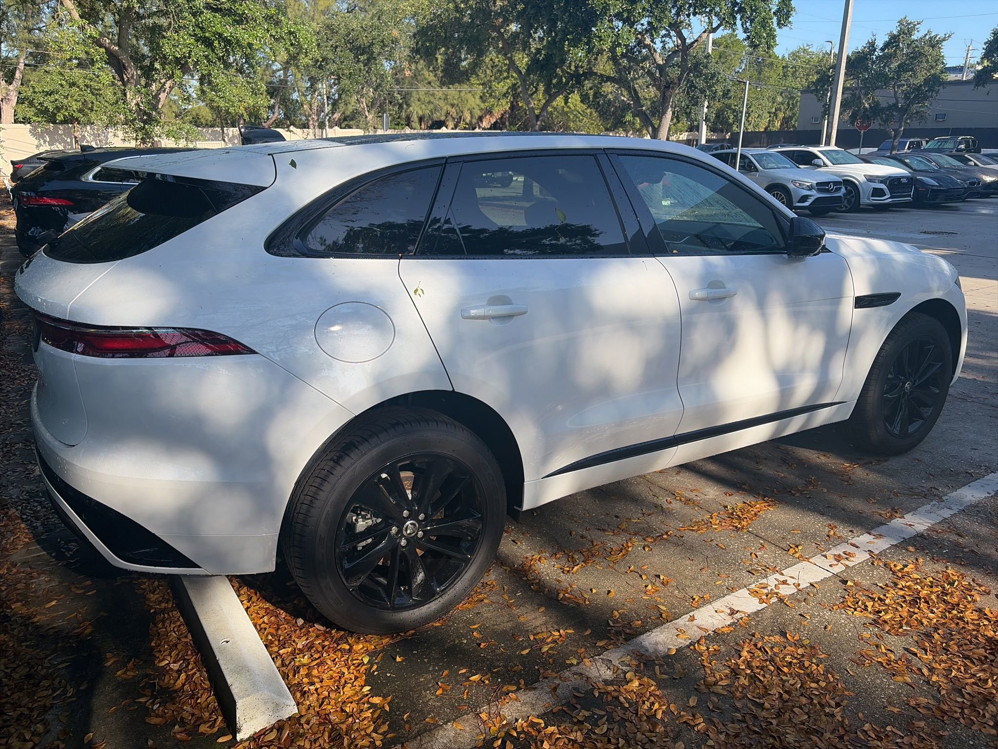 Used 2025 Jaguar F-PACE R-Dynamic S AWD/4WD image 6