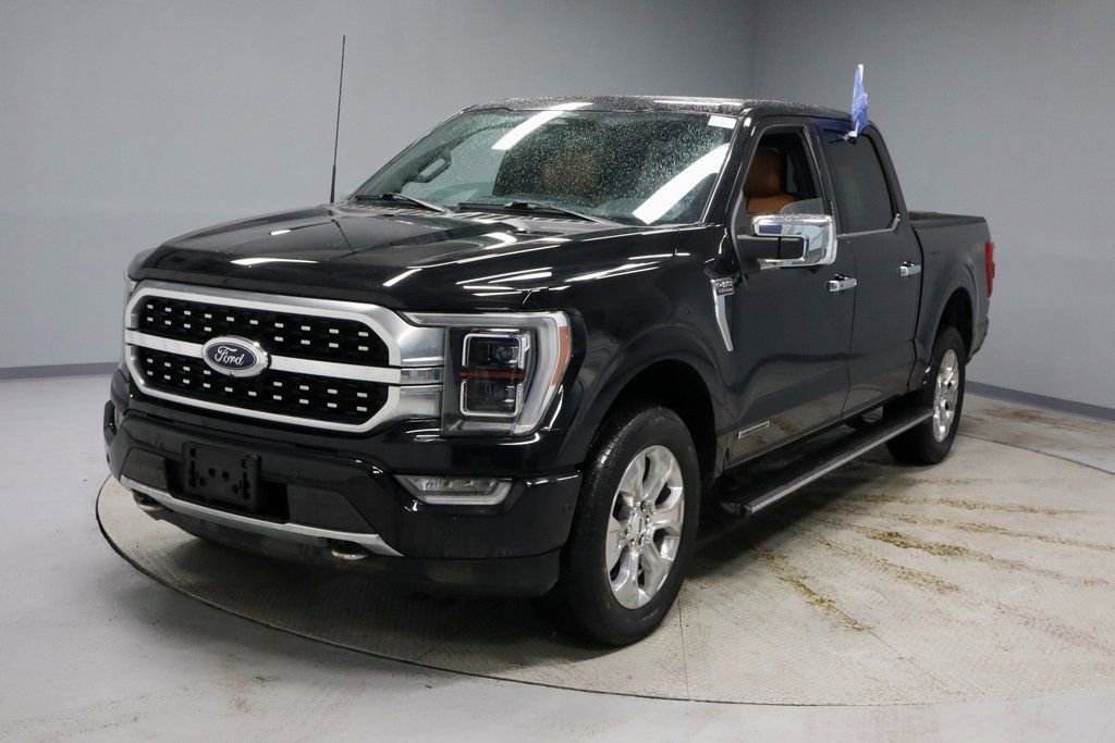 Certified 2023 Ford F150 Platinum image 8