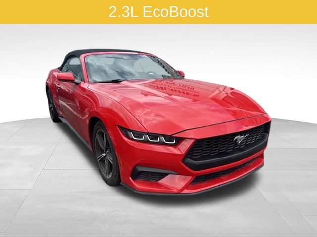 Used 2024 Ford Mustang Premium RWD image 1