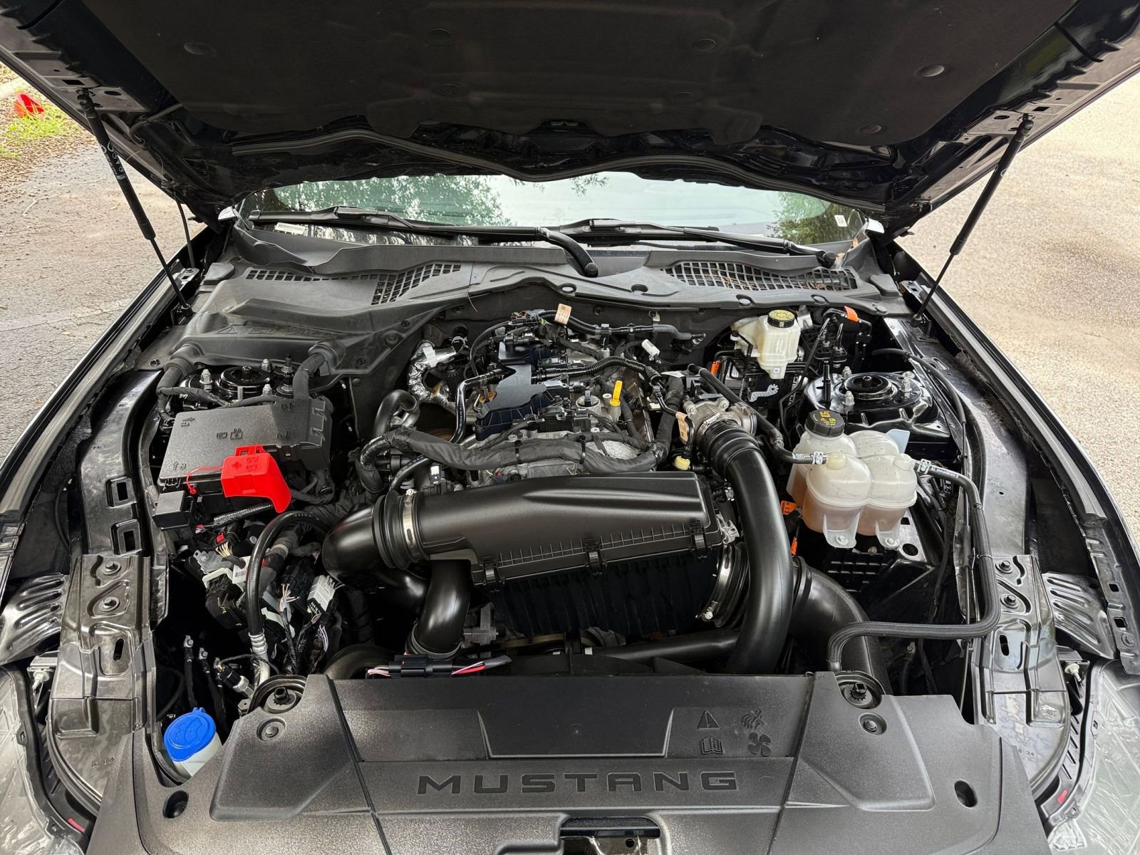 Used 2024 Ford Mustang Premium image 25