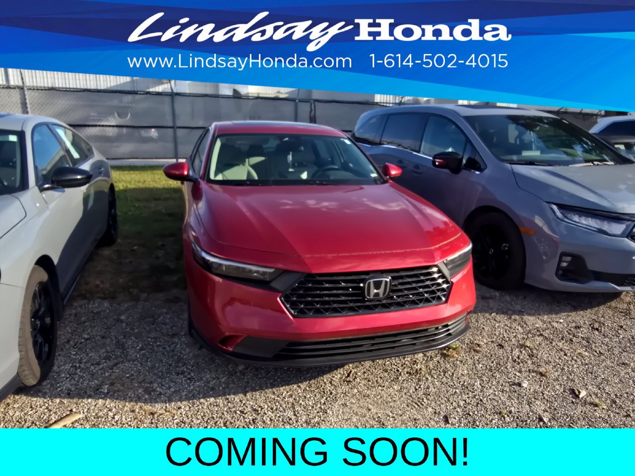 Used 2024 Honda Accord EX image 2