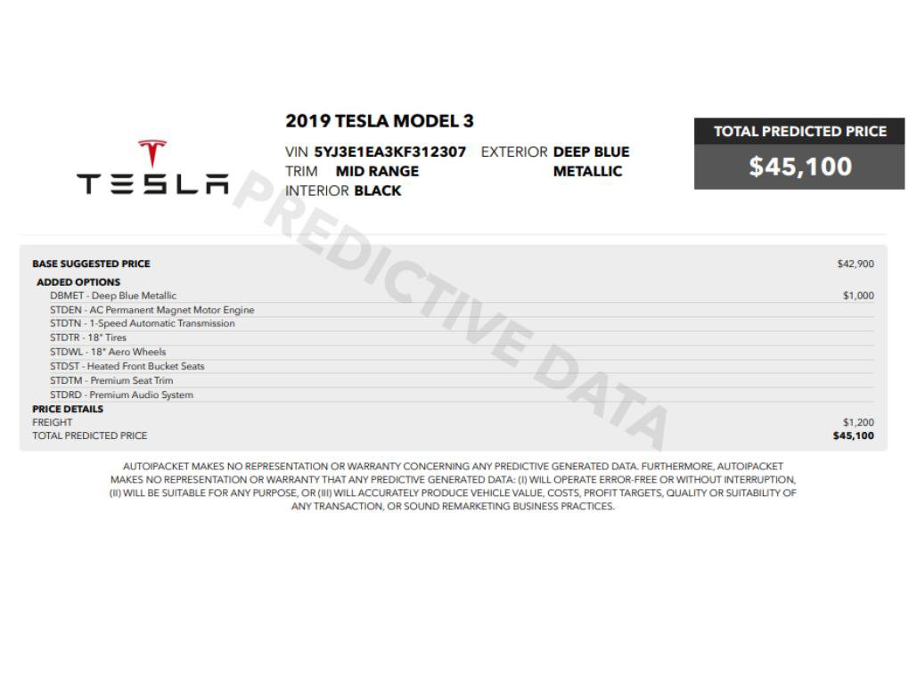 Used 2019 Tesla Model 3 Standard Range Plus image 2