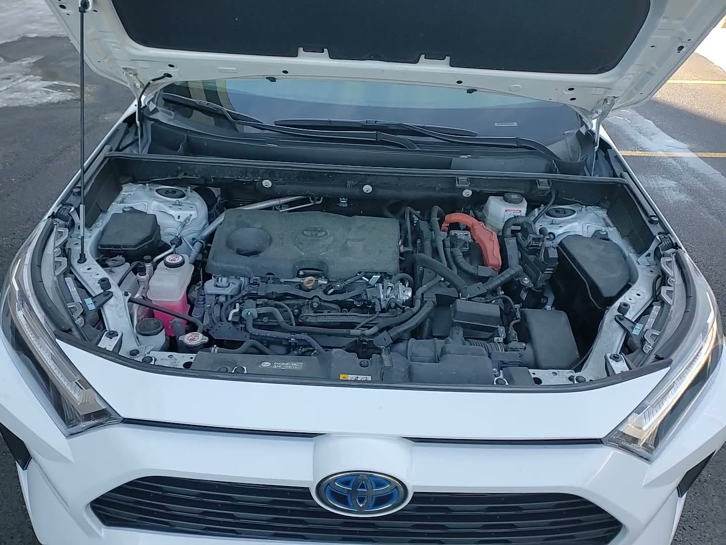 Certified 2024 Toyota RAV4 XLE image 14