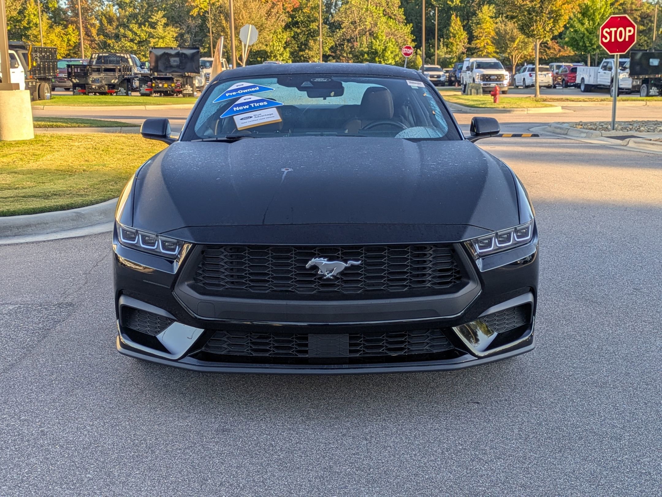 Certified 2024 Ford Mustang Coupe image 9