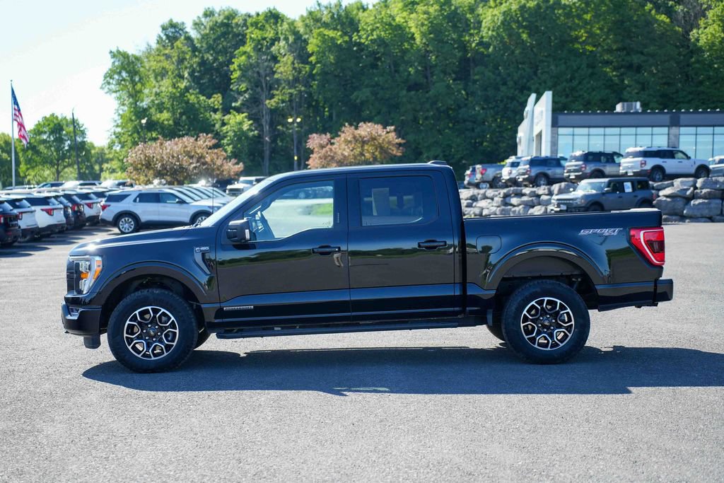 Certified 2023 Ford F150 XLT w/ Equipment Group 302A High AWD/4WD image 8
