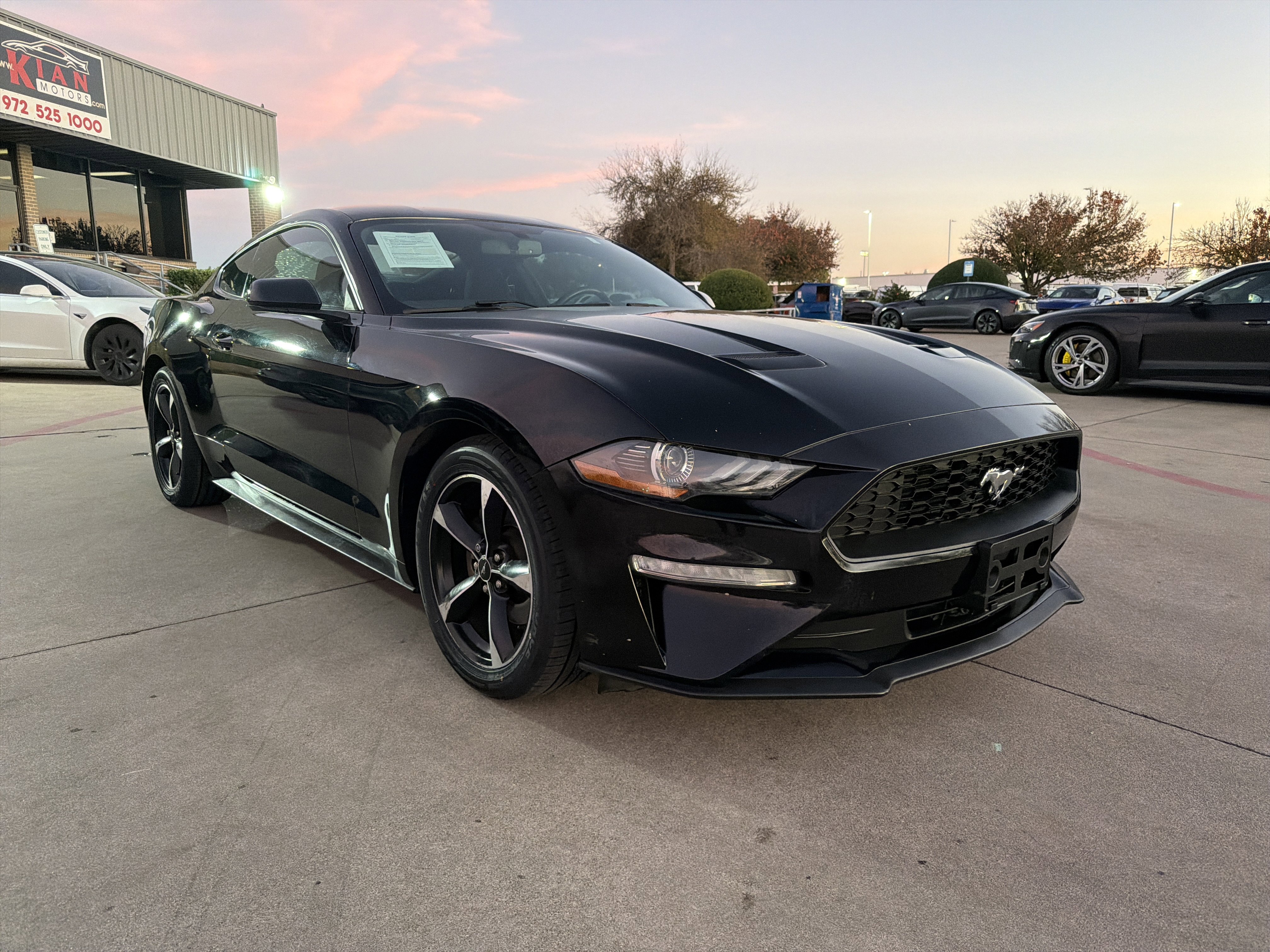 Used 2019 Ford Mustang Coupe