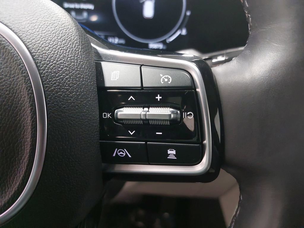 Used 2023 Kia Carnival SX Prestige image 19