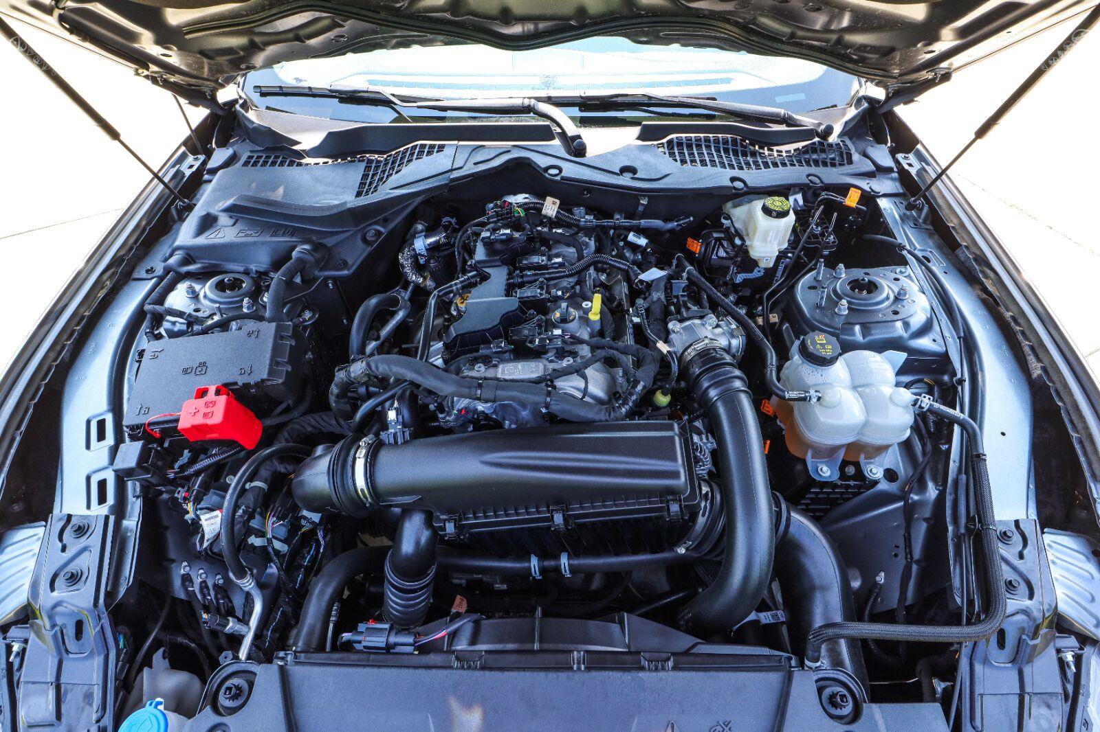 Used 2024 Ford Mustang Coupe RWD image 21