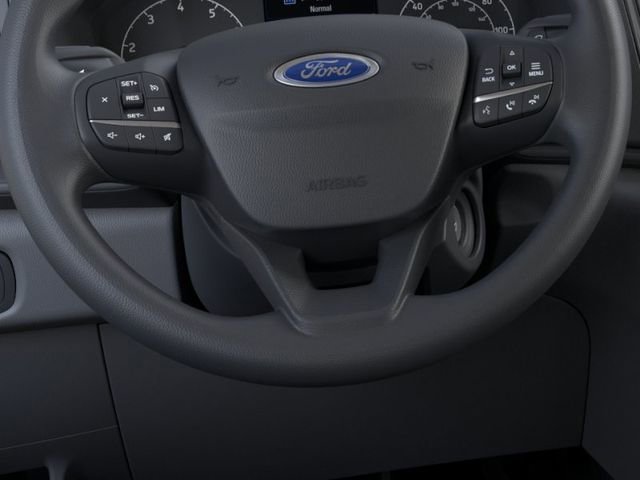 New 2025 Ford Transit 250 Low Roof w/ Load Area Protection Package RWD image 12