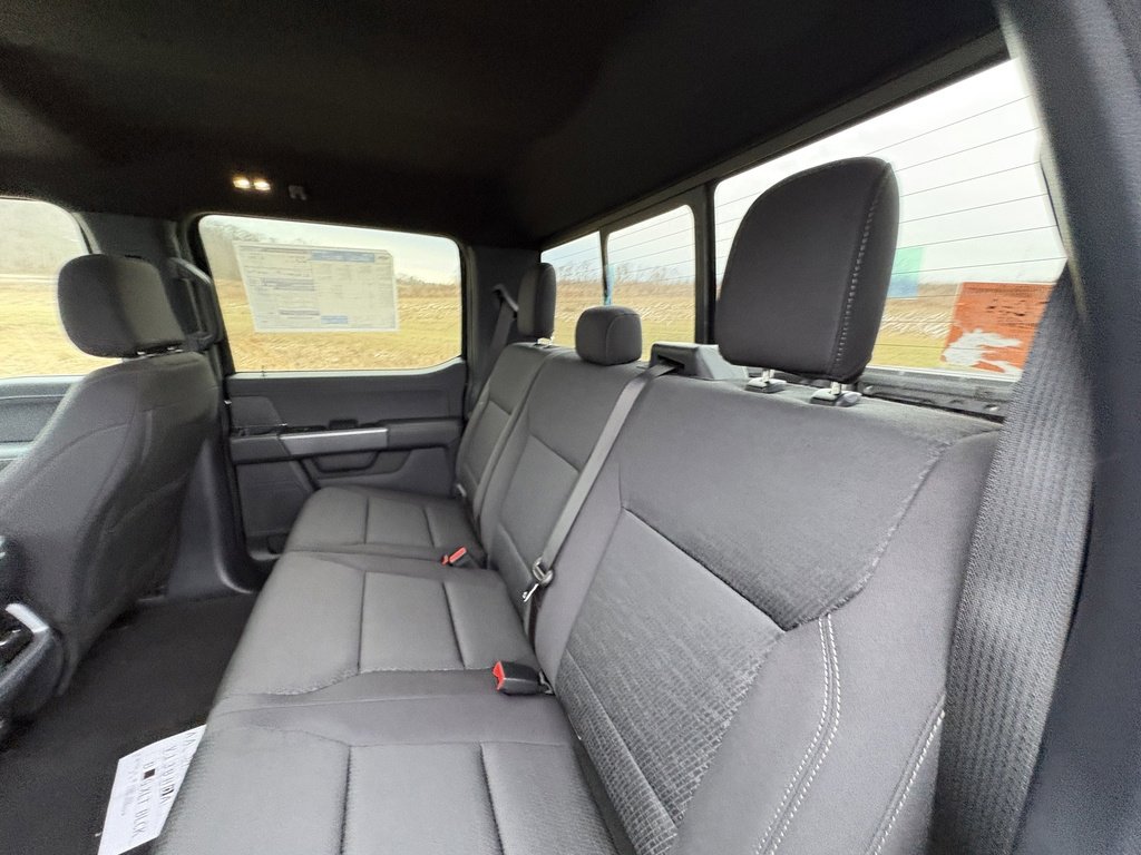 New 2026 Ford F150 XLT w/ Equipment Group 302A MID image 22