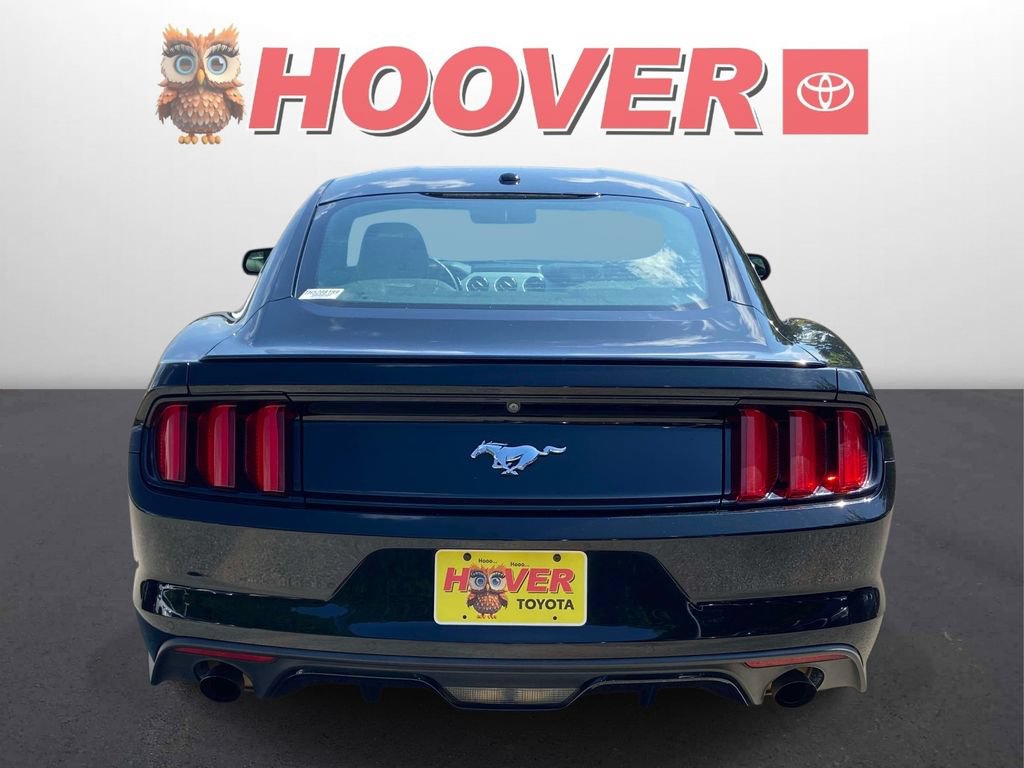 Used 2017 Ford Mustang Premium w/ Equipment Group 201A RWD image 3