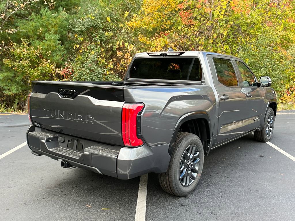 New 2026 Toyota Tundra Platinum image 5