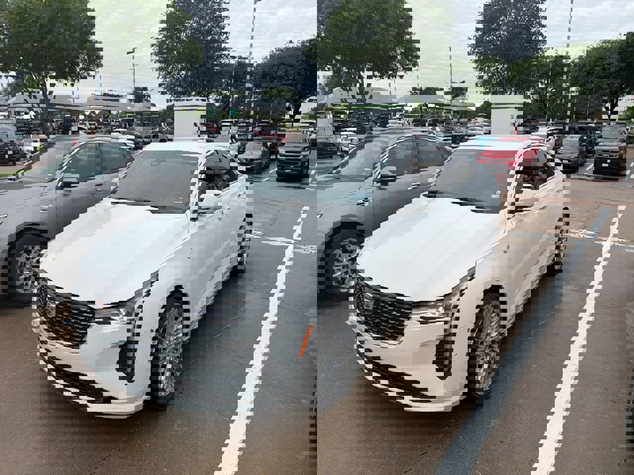 Used 2021 Cadillac CT4 Premium Luxury image 6