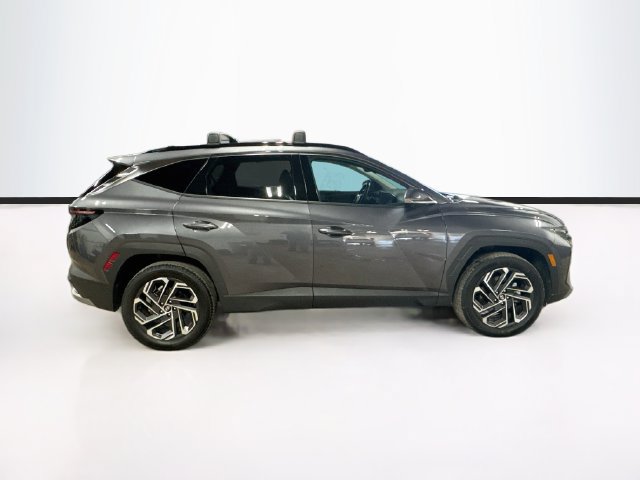 Used 2025 Hyundai Tucson Limited AWD/4WD image 8