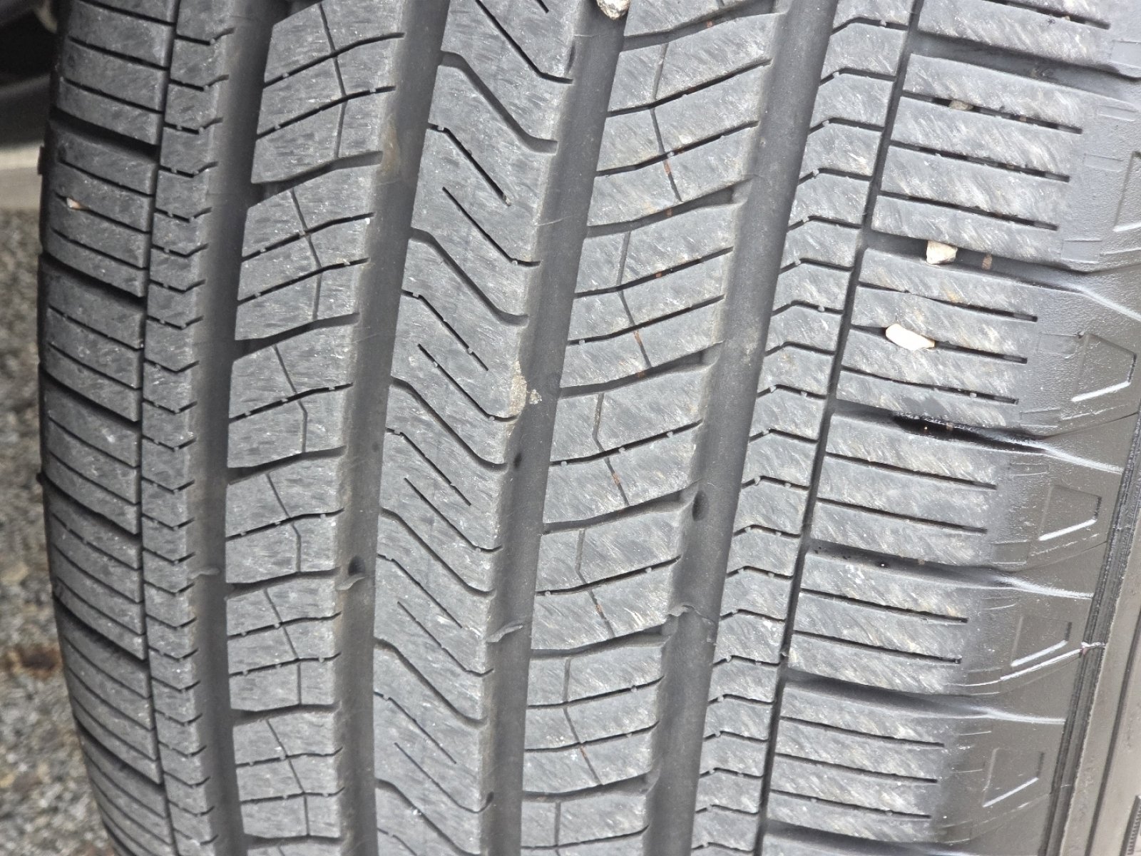 Used 2025 Honda Pilot EX-L image 13