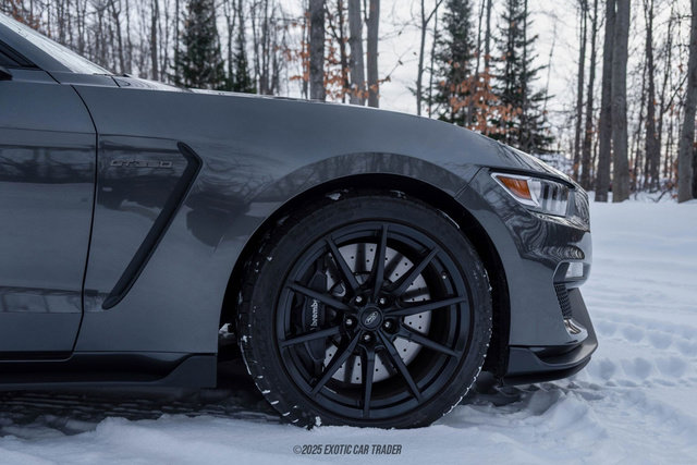 Used 2015 Ford Mustang Shelby GT350 image 11