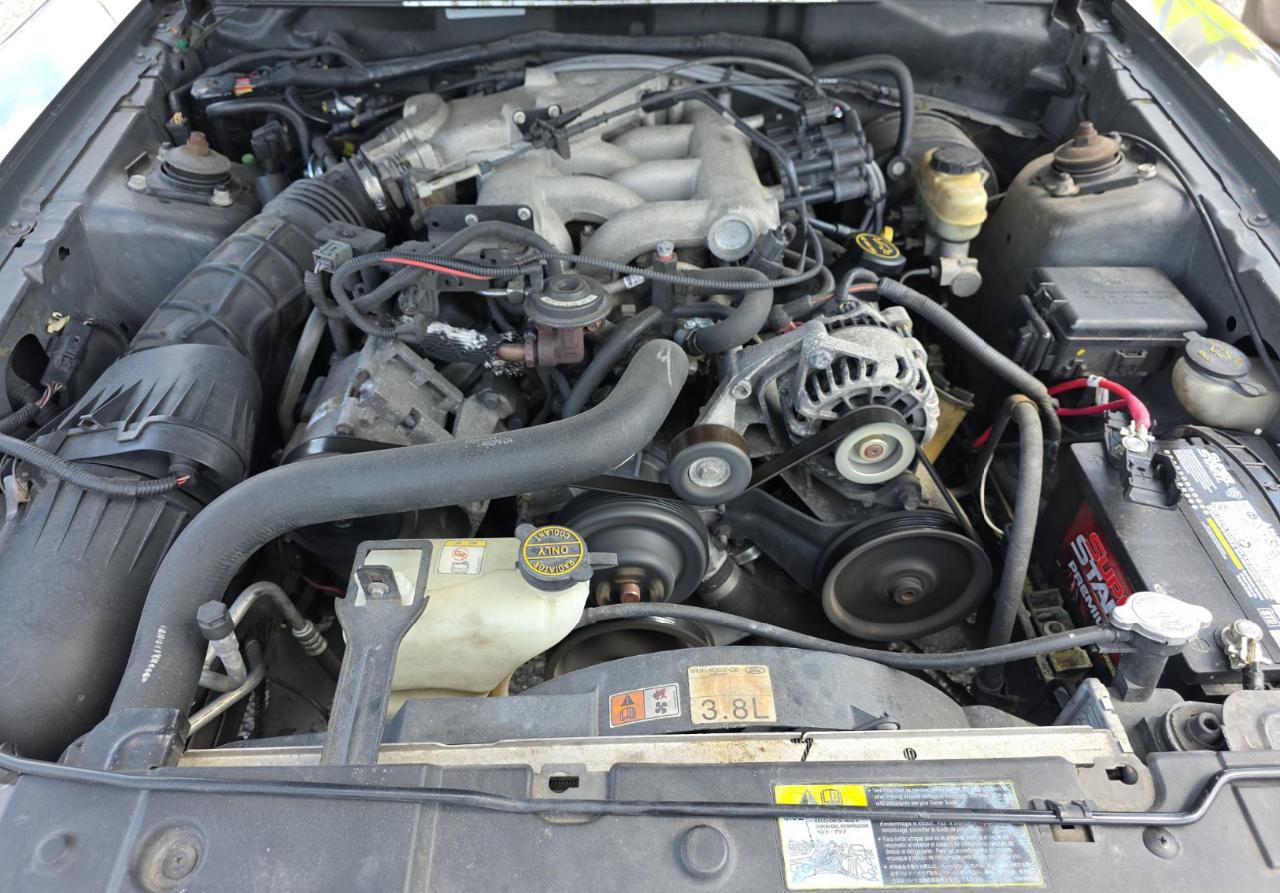 Used 2002 Ford Mustang Premium RWD image 16