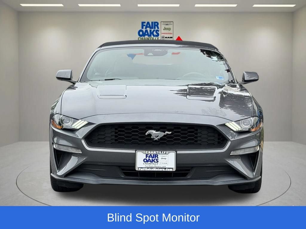 Used 2022 Ford Mustang Convertible w/ Equipment Group 101A RWD image 5