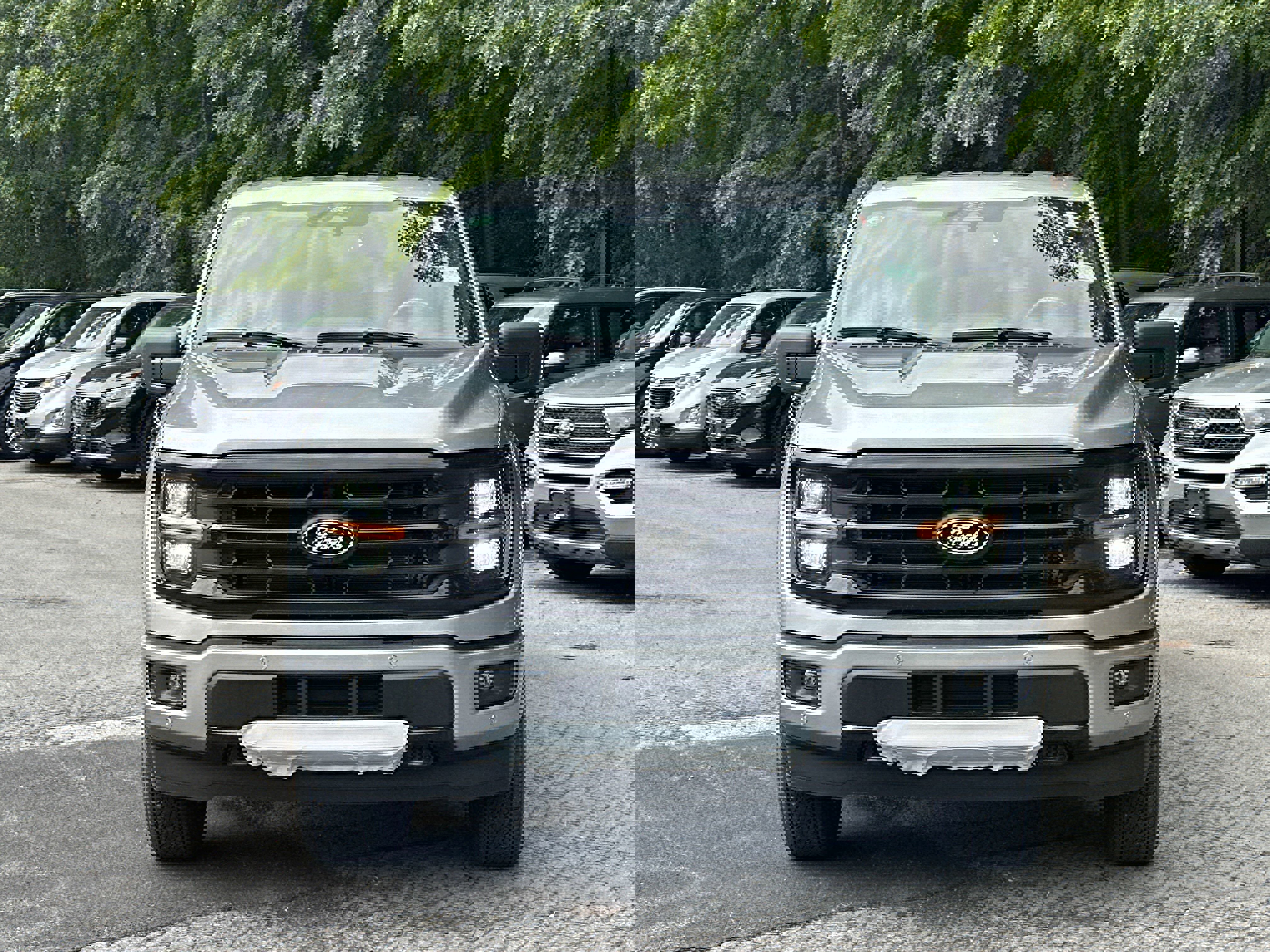 New 2025 Ford F150 XLT w/ Equipment Group 302A MID image 12