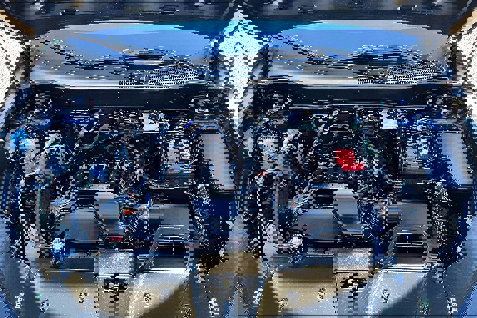 Used 2025 Honda CR-V EX-L image 9