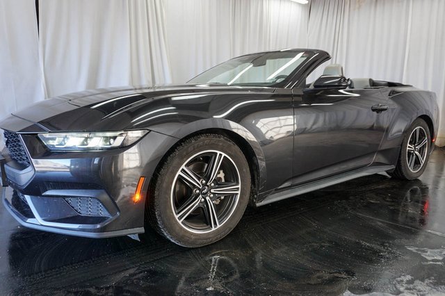 Used 2024 Ford Mustang Premium image 4