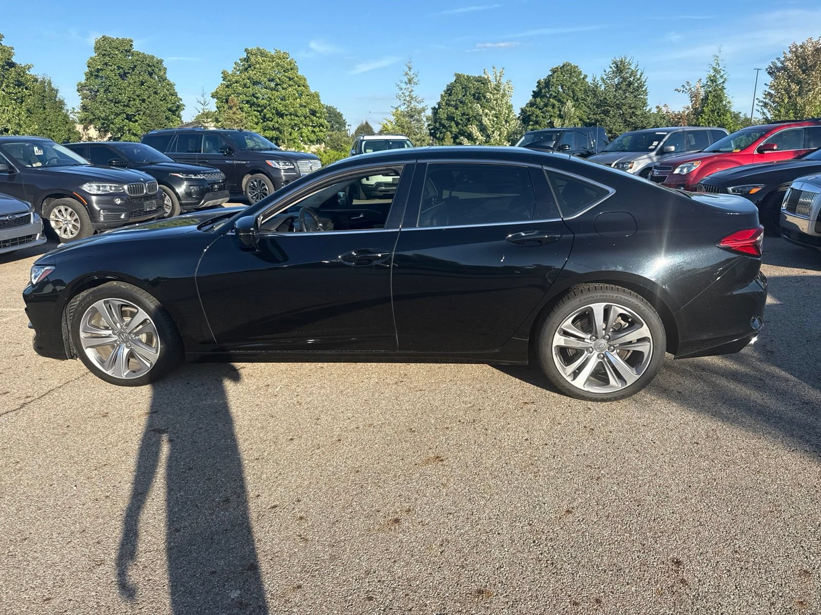Used 2023 Acura TLX w/ Advance Package AWD/4WD image 8