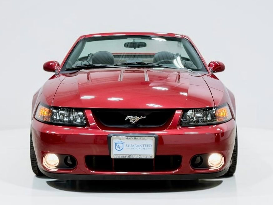 Used 2004 Ford Mustang Cobra RWD image 12