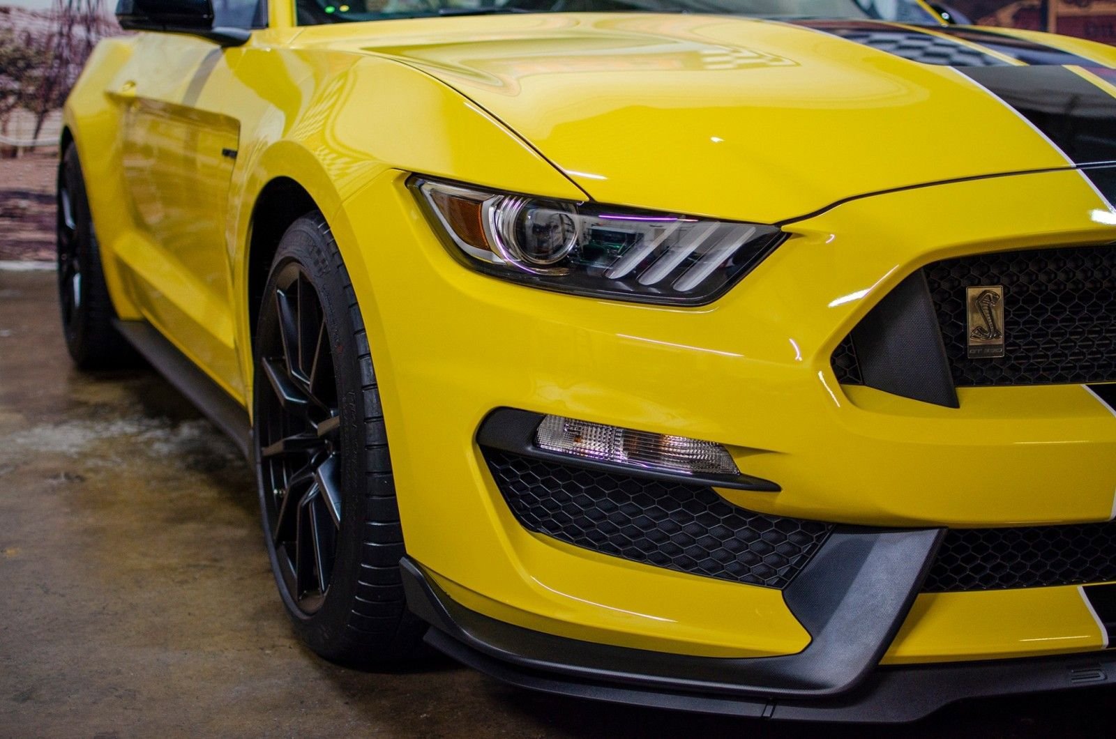 Used 2016 Ford Mustang Shelby GT350 w/ Technology Package RWD image 10
