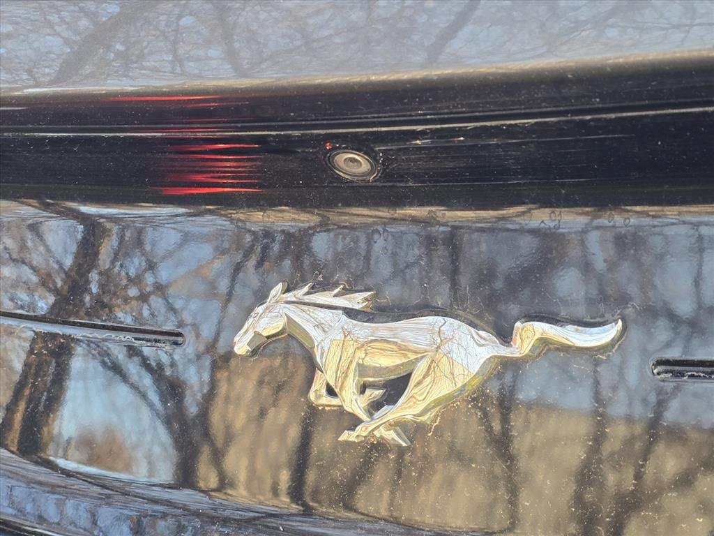 Used 2020 Ford Mustang EcoBoost w/ Equipment Group 101A image 10