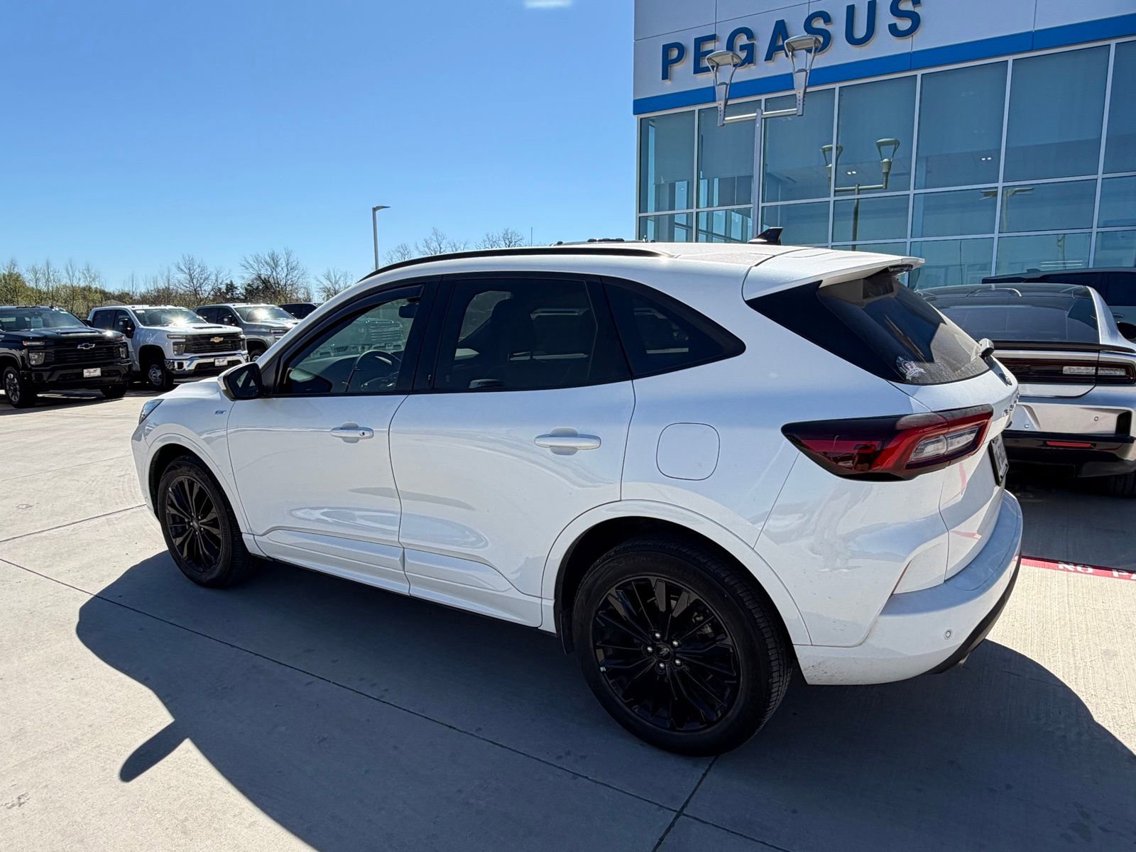 Used 2023 Ford Escape ST-Line Elite image 3